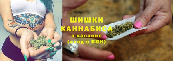 мдпв Коряжма