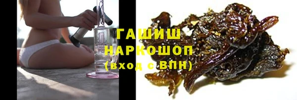 шишки Корсаков