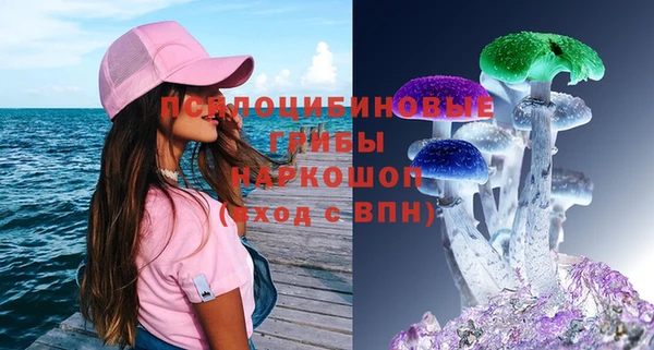 шишки Корсаков