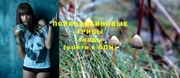 мдпв Коряжма
