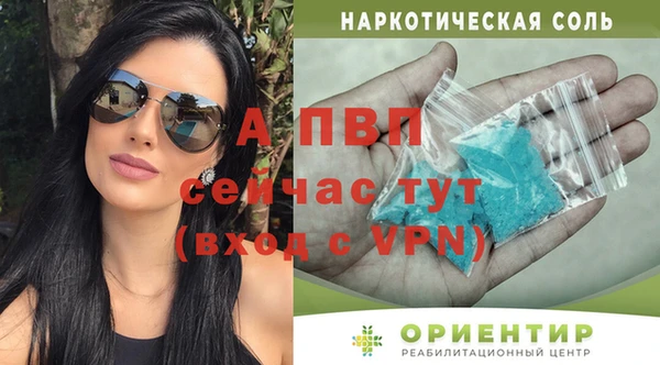 шишки Корсаков