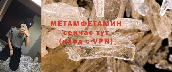 шишки Корсаков
