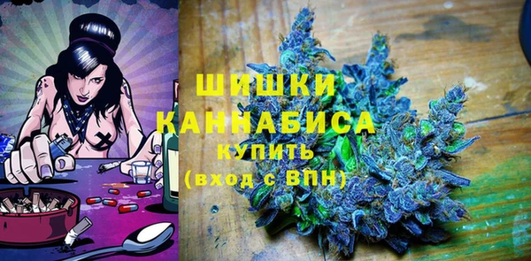 шишки Корсаков