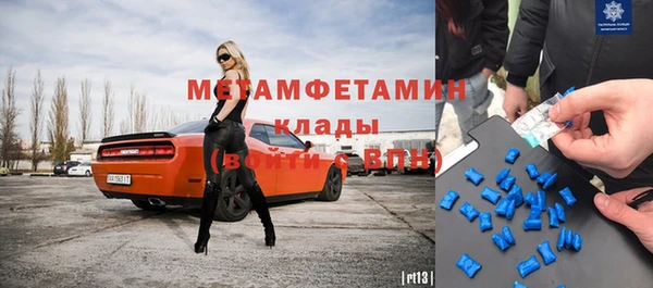 шишки Корсаков