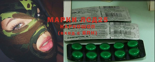 мдпв Коряжма