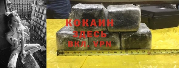 шишки Корсаков